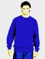 FLIP-SWEATer-blau mit 