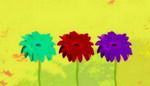 L276 Gerbera X 3 gelb